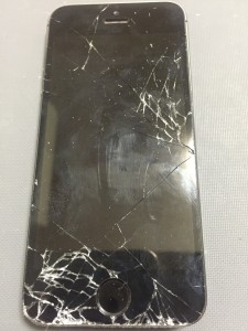 写真 2016-04-12 19 44 06