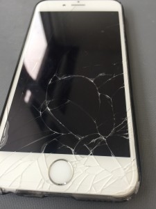 写真 2016-04-13 13 00 22