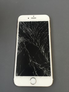 写真 2016-04-22 16 42 11