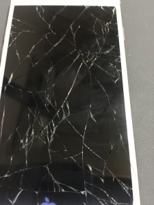 写真 2016-05-08 18 08 15