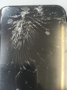 写真 2016-05-10 12 35 10