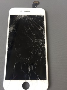 写真 2016-05-10 12 35 19