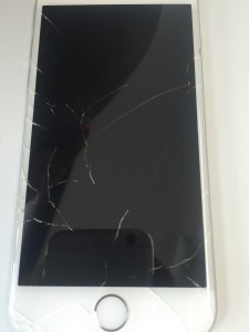 写真 2016-05-11 12 17 23