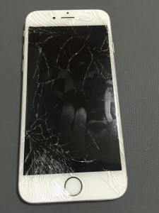 写真 2016-05-11 18 06 53