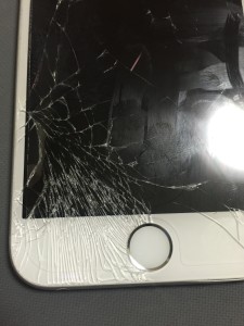 写真 2016-05-11 18 06 56