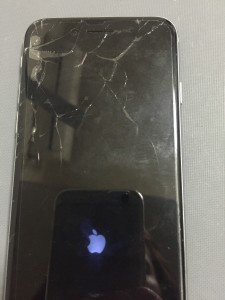 写真 2016-05-11 18 07 15