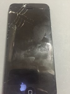 写真 2016-05-12 20 04 55