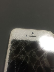 写真 2016-05-12 9 54 00