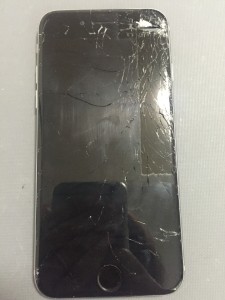 写真 2016-05-13 10 05 00