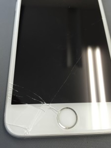 写真 2016-05-17 11 06 26