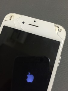 写真 2016-05-17 9 41 41