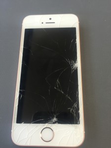 写真 2016-05-18 14 02 47