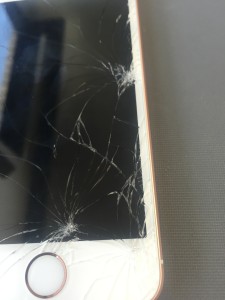 写真 2016-05-18 14 02 51