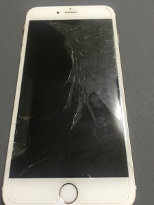 写真 2016-05-19 13 10 59