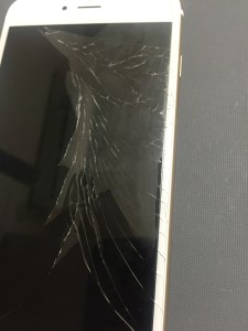 写真 2016-05-19 13 11 07