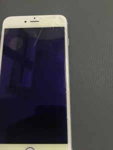 写真 2016-05-20 14 01 20