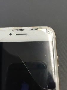 写真 2016-05-30 17 09 43