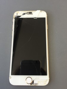 写真 2016-06-02 13 56 23