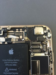 写真 2016-06-02 13 58 07