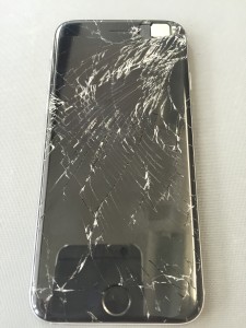 写真 2016-06-06 13 03 17