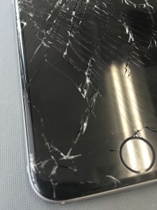 写真 2016-06-06 13 03 20