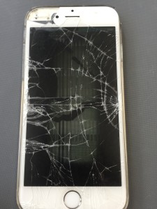 写真 2016-06-17 9 48 25