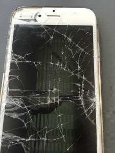 写真 2016-06-17 9 48 31