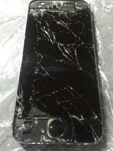 写真 2016-07-06 9 38 24