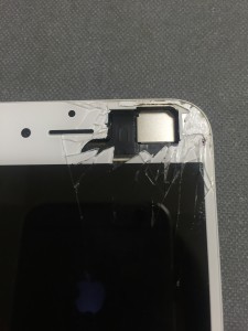 写真 2016-07-07 13 19 01