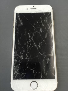 写真 2016-07-13 12 06 14