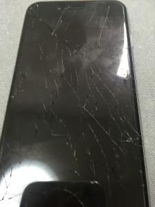 写真 2016-07-15 16 33 13