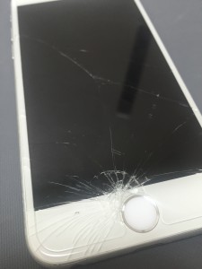 写真 2016-08-05 10 14 12