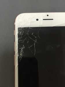 写真 2016-08-17 13 00 16