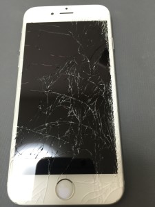 写真 2016-08-17 15 54 18